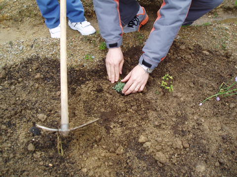 O professor Tiago com os meninos da escola plantou algumas das plantas que nos ofereceram.